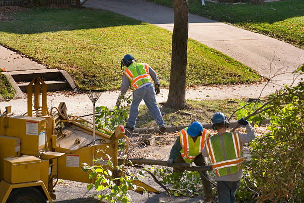 Best Tree Health Inspection  in Pleasant Run Farm, OH